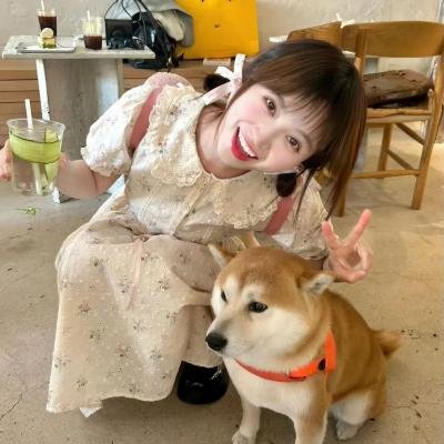义勇七先锋